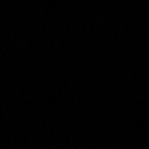 Meet your Posher, Rose - Picture 1 of 1